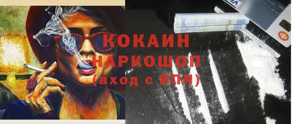 шишки Аркадак